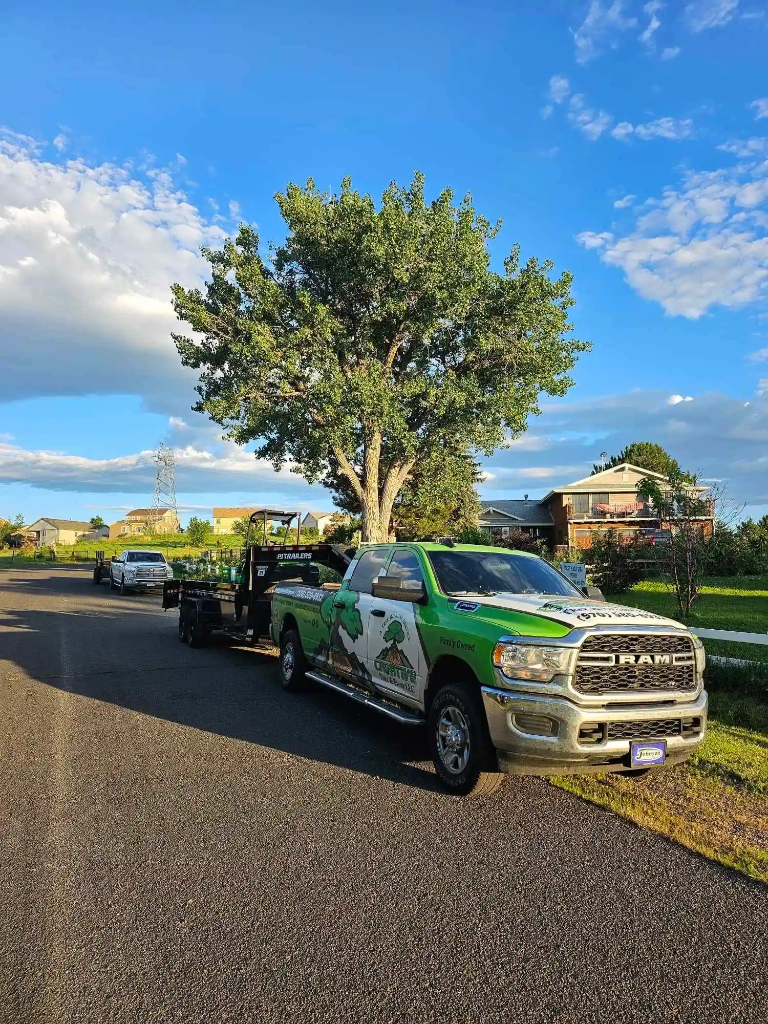 arvada tree service llc