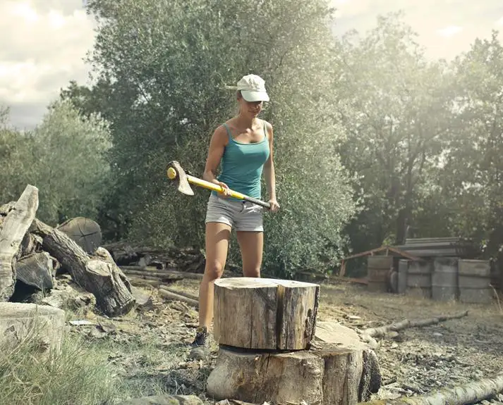 stump grinding services in arvada