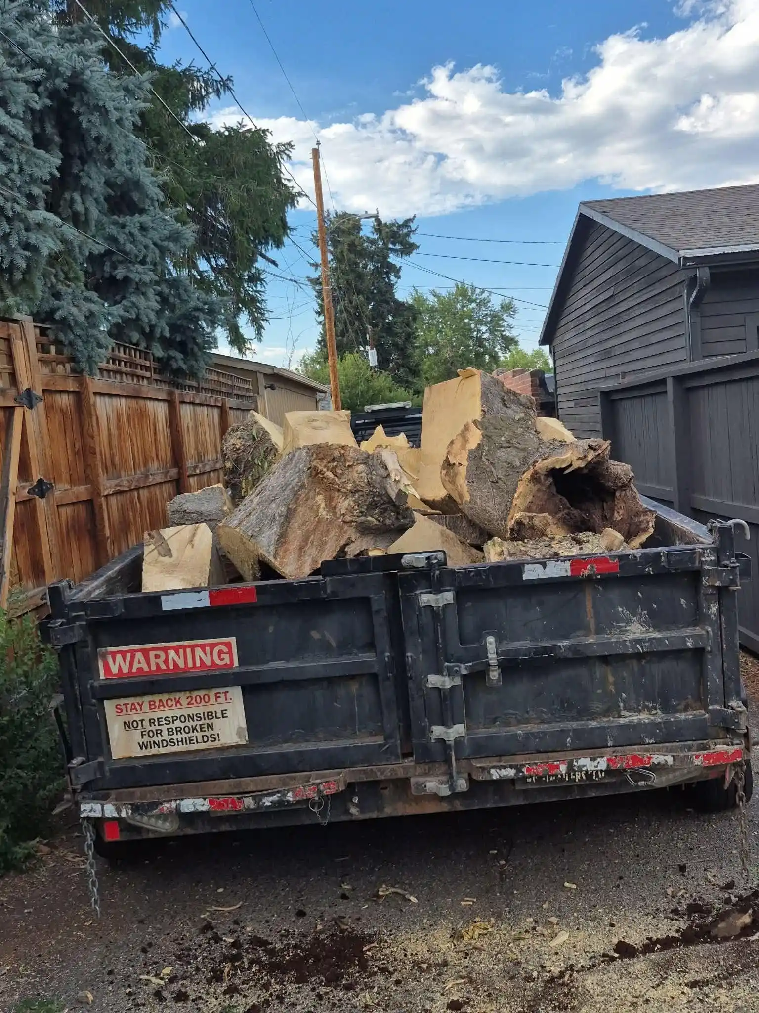 emergency tree services arvada