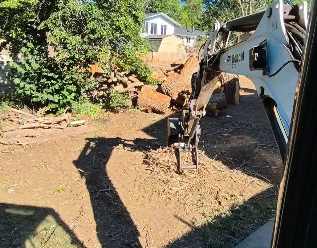 emergency tree removal arvada