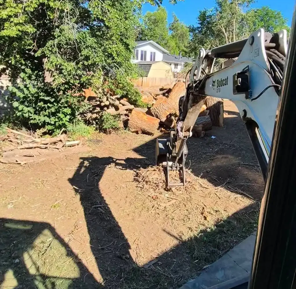emergency tree removal arvada