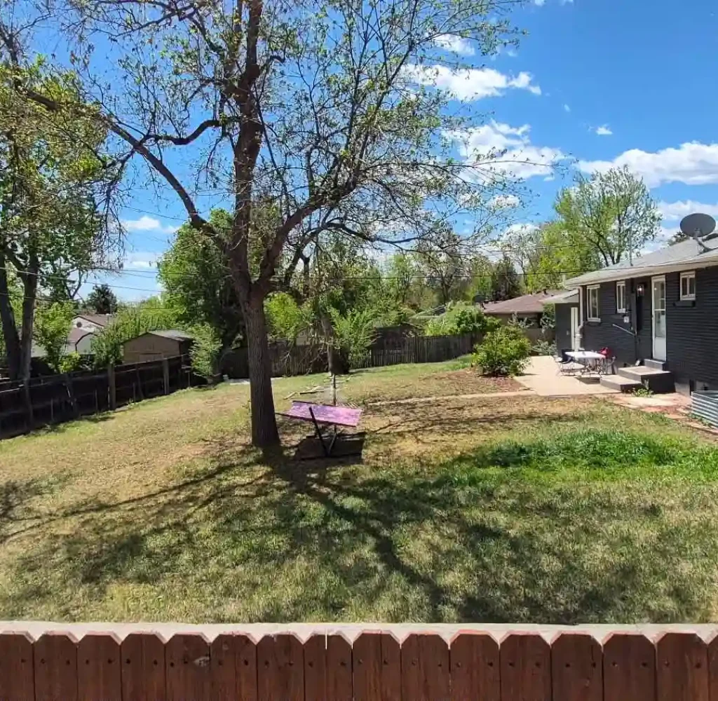 arvada, co pruning services
