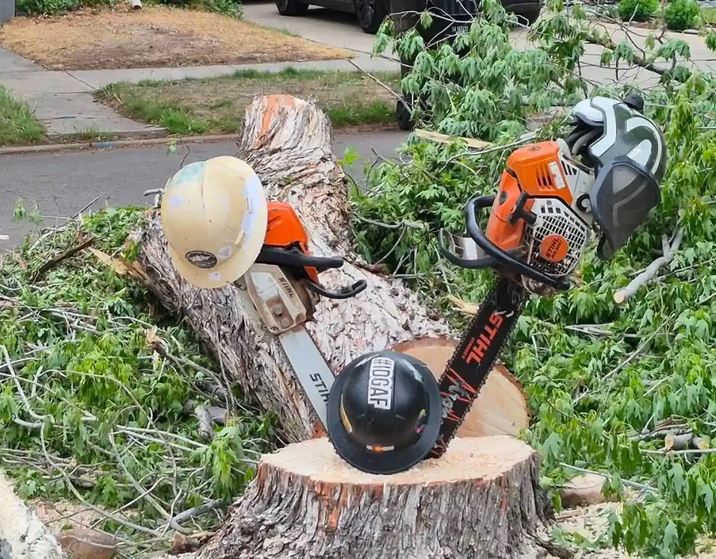 stump removal in arvada