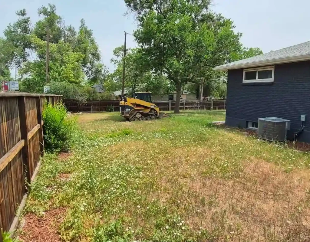 professional tree inspection service in arvada, co