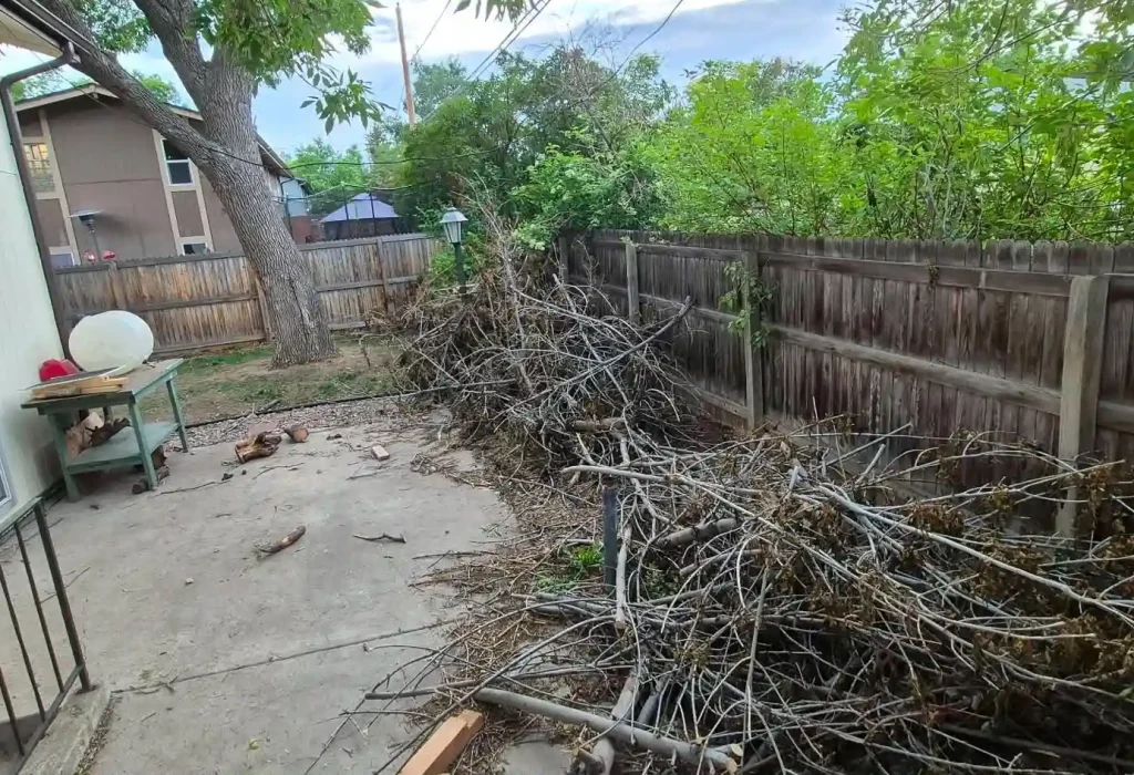 professional tree trimming in arvada, co